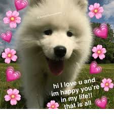 25 Best Memes About Hi I Love U Hi I Love U Memes