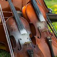 Viola vs violin: what's the difference?
