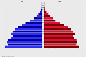 Live Indonesia Population Clock 2019 Polulation Of