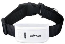 Wir haben einen gps tracker für die katze. Gps Tracker Fur Katzen Gps Halsband Mini Gps Tracker Im Test 2021