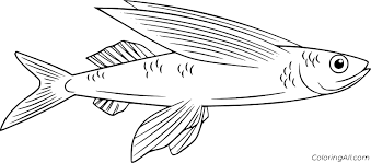 Plus, it's an easy way to celebrate each season or special holidays. Flying Fish Coloring Pages Coloringall