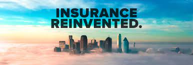 Repp is an agency owner with goosehead insurance located in san diego california. Goosehead Insurance Inc Overview