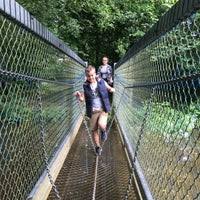 Amusement and theme park in wadebridge. Camel Creek Adventure Park Wadebridge Cornwall