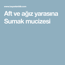 Aft Ve Agiz Yarasina Sumak Mucizesi Evde Hazirlabilen Ilaclar Saglikli Beslenme Beslenme