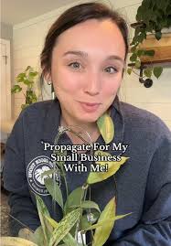 Rare Plant Propagation Tips for Your Collection