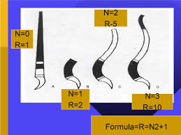 Postural Reflexes Dr Taha Sadig Ahmed. - Ppt Video Online Download