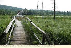 From exploring our exhibits to embarking on an adventure on our nature trails, a trip to the nature center is sure to be fun for the whole family. Finger Lakes New York Nature Centers Cumming Nature Center