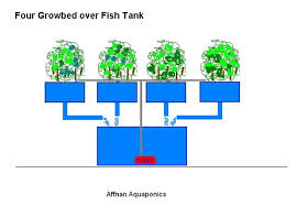 Affnan S Aquaponics Craft