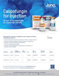 Image result for Caspofungin