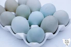 The blue egg gene (which gives us blue & green eggs) is linked to the same gene that gives chickens a pea comb. All About Easter Egger Chickens