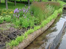 Landscaping With Coir Logs Google Search Landscape Erosion Control River Bank