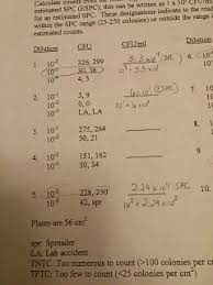 Cfu /ml in the original sample. How Do I Calculate Cfu Ml Based On Dilution And Cfu Chegg Com