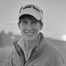 About Simulation Simplified