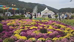 포천 산정호수 명성산 억새꽃축제 写真 5