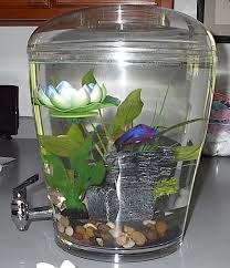 Betta Need 2 5 Gallons A Place To Hide Temperatures Of 72 80 Degrees Fahrenheit And A Filter This Doesn T Provide Any O Unique Fish Tanks Betta Tank Betta