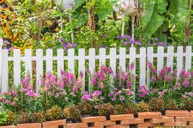 Beautiful white fence landscaping ideas. White Picket Fence Surrounded By Flowers In Front Garden On Stock Photo Picture And Royalty Free Image Image 91010044