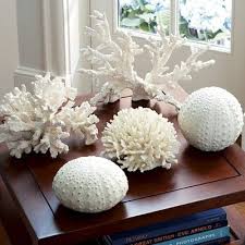 Bathroom design ideas and photos to inspire your next home decor project or remodel. White Coral Accents Give Texture And Interest Round Brain Coral Is Next To The Branch Like Pieces Coral Decor Sea Decor Coral Home Decor