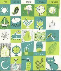 My Five Senses Aliki My Five Senses Graphic Design Illustration Illustration