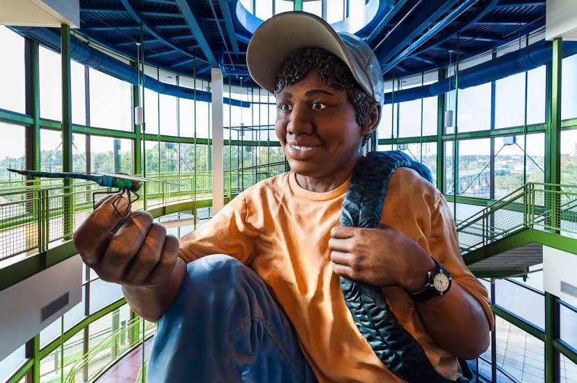 Tree Service Richland County SC