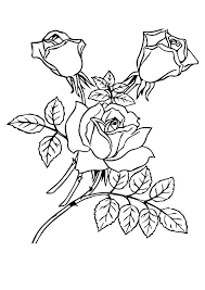 Black and white pattern for coloring book for adults with adorable unicorn and roses background. The Beautiful Rose Coloring Page Rose Coloring Pages Garden Coloring Pages Flower Coloring Pages