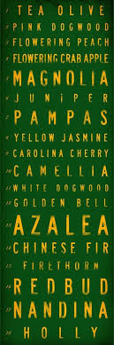Golf Course Hole Names Typography Masters Augusta National Original Graphic On Canvas 12 X 36 By Stephen Fo Golf Courses Augusta National Golf Club Golf Quotes