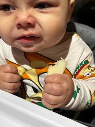 Babies can't eat without teeth” ma'am excuse me buttt.. Do you see the bite  she took out of that pear?😬😂 she don't want to hear none of that nonsense