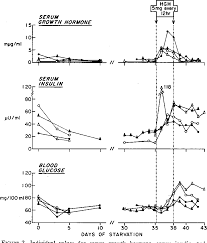 Pdf Metabolic Response To Human Growth Hormone During