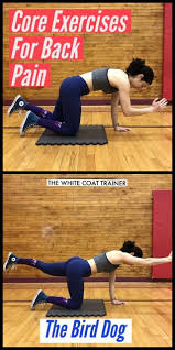 We Are All Tough Pressed For Time Nowadays And Many Would Rather Get Their Workout Done And Over With So They Can Proc Best Core Workouts Core Workout Exercise