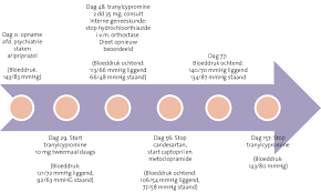 Bekijk onze tijdlijn selectie voor de allerbeste unieke of custom handgemaakte items uit onze prints shops. Figuur 1 Patient A Tijdlijn Verloop Bloeddruk Orthostase En Download Scientific Diagram