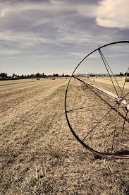 The sprinkler line is connected to a supply or mainline by a flexible hose. Old Fashioned Wheel Line Irrigation System With Field In Background Photograph By Danesse Jessop