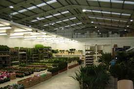 Area floral wholesaler, only sells to businesses not general public how do i know which website will take me to when i click to get link coupon on wholesale flowers houston open to public searching? Manchester Wholesale Flowers Russell Wbho