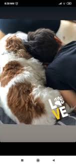 Δείτε αυτή τη δημοσίευση στο instagram. Ellh Kokkinoy Des Poso Megalwse O Gios Ths Kai 8a Pa8eis Plaka Photos Gossip Tv Gr