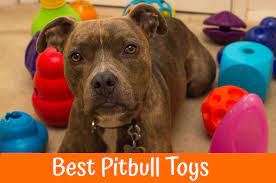 Best toys for pit bulls at chewy, free shipping, low prices, 24/7 expert help, shop now! 19 Best Pitbull Toys Indestructible Chew Proof For Tug And Fetch Games