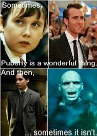 Harry Potter Humor Haha Its True Everyone Says How Puberty Blessed Neville But Not How Growing Harry Potter Funny Harry Potter Obsession Harry Potter Memes