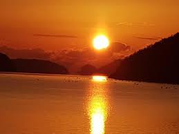 │주역│미리보는 2021년 신축년(辛丑年) 뱀띠,말띠,양띠 주역 신년운세 │animals by birth│도깨비불운명학연구소│fortune. 3zkap8tojfmpnm