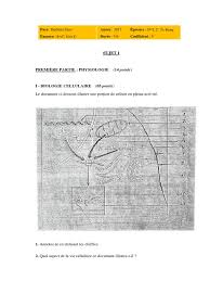Voici nos prognostics avec quelques conseils de dernière minute. Burkina 17 Bac D Svt 2e Tr Sujet1 Remplt Hypothalamus Hypophyse