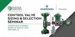 Fisher control valve sizing