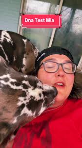 Great Dane Dog Price in Sri Lanka