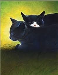 images?q=tbn:ANd9GcQbQPKqkxsoxbKKxaQ9g5LxuIedW75-Ef0J8hTg55bse84qaLAZhA