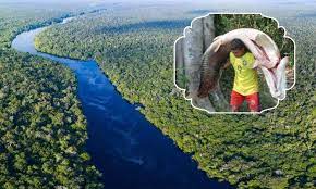 Sungai citarum adalah sungai terpanjang dan terbesar di tatar pasundan provinsi jawa barat, indonesia. Sungai Terpanjang Dunia Dan Ikan Monster Umpan
