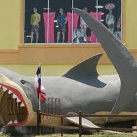 We did not find results for: Corpus Christi Tx Seaside Shark