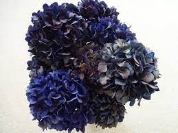 Hydrangeas Dark Dark Blue Hydrangeas Dried Hydrangeas Dark Etsy