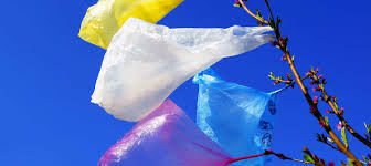 International Plastic Bag Free Day 2021 National Awareness Days Calendar 2021 On july 3rd we celebrate „international plastic bag free day.