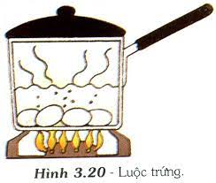 Chất đường sẽ bị biến mất, chuyển sang màu nâu, có vị đắng khi đun khô đến nhiệt độ: Bai 17 Báº£o Quáº£n Cháº¥t Dinh DÆ°á»¡ng Trong Cháº¿ Biáº¿n Mon Äƒn Quizizz