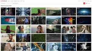 Check spelling or type a new query. Changed My Contributor Name Now My Portfolio Has Disappreared Technical Issues Shutterstock Forum