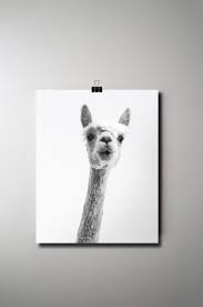 Alpaca Print Giclee Print Animal Poster Llama Print Black Etsy Llama Print Animal Posters Printable Art