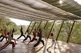 Great Yoga Retreats Vogue It Yoga Retreat Outdoor Yoga Yoga Shala
