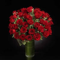 There are no stories available. Water Mill Flowers 5600 Nw 12th Ave 304