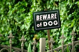 Installing motion sensor lights is a relatively cheap way to protect your conservatory. Surprising Yard Features That Hgtv Says Will Keep Burglars Away From Your Home