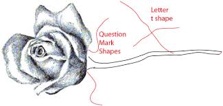 Beauty and the beast rose drawing step by step. How To Draw Long Stem Roses With Easy Step By Step Drawing Tutorial How To Draw Step By Step Drawing Tutorials